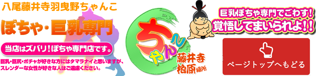 八尾藤井寺羽曳野ちゃんこ ロゴ