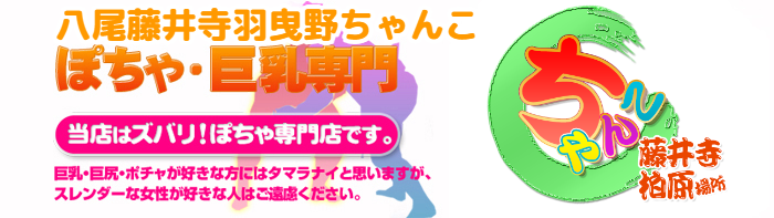 八尾藤井寺羽曳野ちゃんこ ロゴ